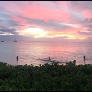 Meet your Posher, Justin